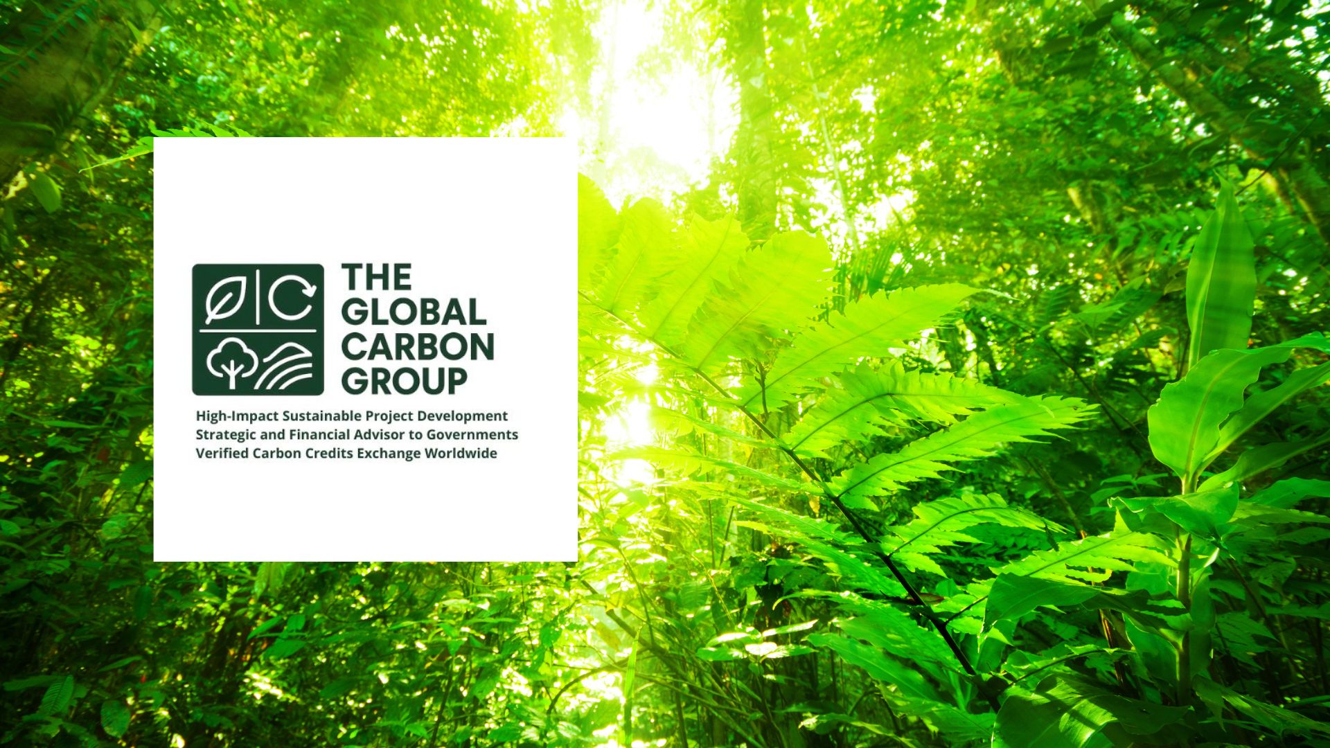 The Global Carbon Group